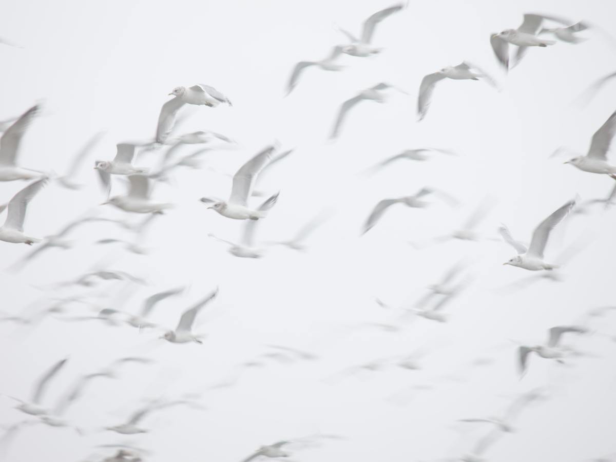 Birthday Testimonial on a rainy autumn day in&nbsp;Sicily